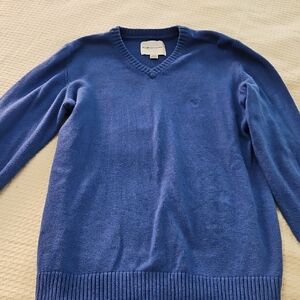 American Eagle Outfitters V-Neck Sweater in Rich Blue